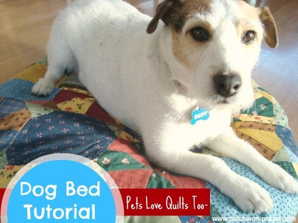Dog Pillow Tutorial {52 UFO Quilt Block Pick Up}