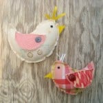 spring chicken