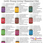 Young Living Oil Breakdown