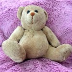 Closing your Bears and Plushies