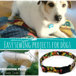 Sewing Projects for Your Dog