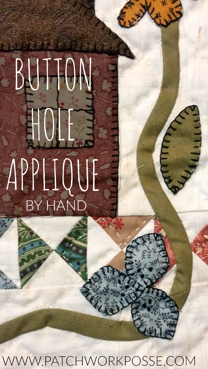 Simple Way to Button Hole Stitch Around Applique Including a Video