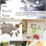 the Round Robin Edition 16- Let's Talk Sewing Machines!