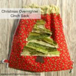 Over Night Cinch Sack Free Tutorial