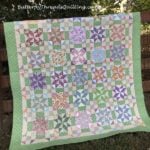 Guest Designer - Diane D. Knott of Butterfly Threads Quilting