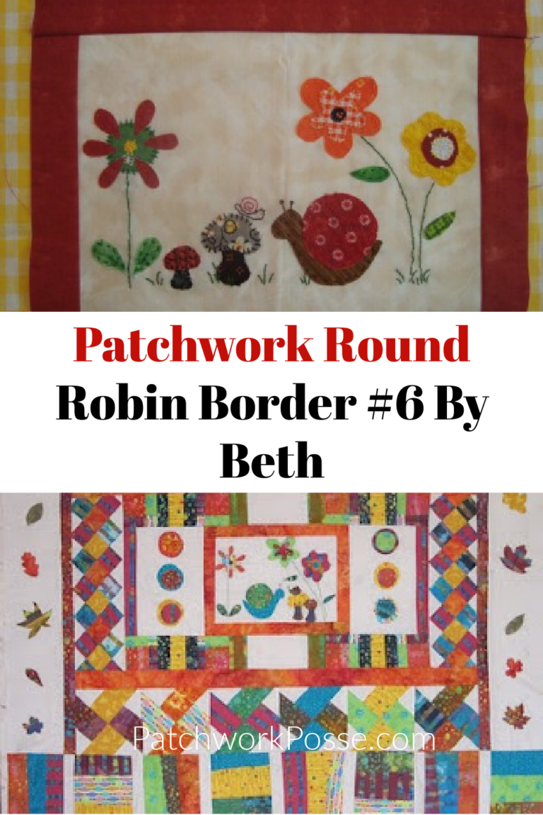 Round Robin Border #6 By Beth - Patchwork Posse