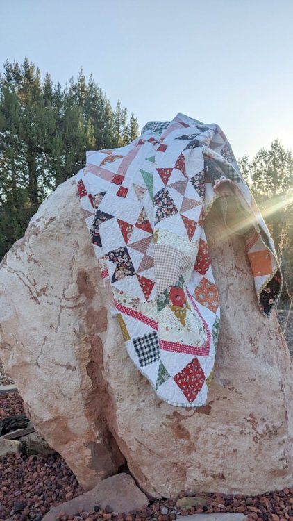 Introducing the Patchworkers Plus 2026 Block of the Month Pattern ...