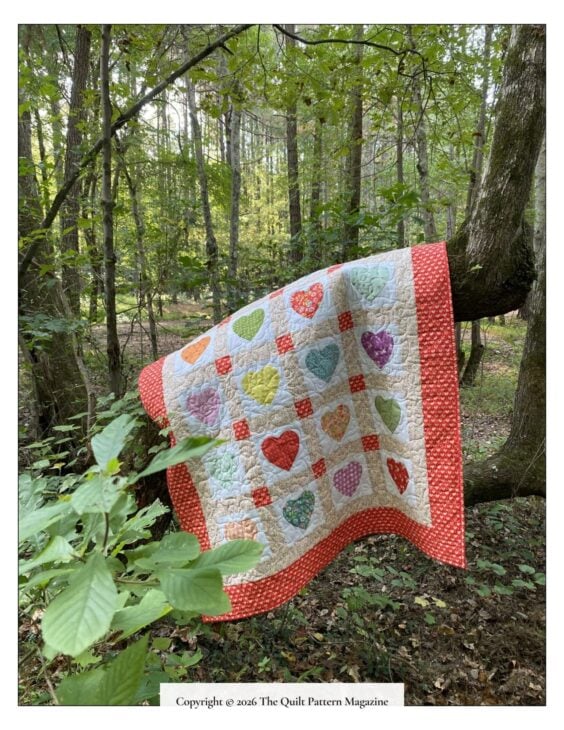 A colorful patchwork quilt with heart patterns and a red border is draped over a tree branch in a sunlit forest, looking like it belongs on the cover of a quilt pattern magazine. Lush green leaves and tall trees surround the quilt.