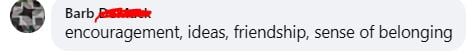 A comment reads: "encouragement, ideas, friendship, sense of belonging" with the username partially blurred in red.